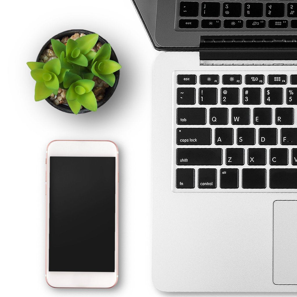 laptop with plant and phone